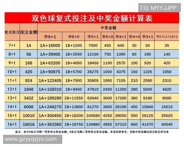 双色球篮球复试策略解析助你轻松赢得大奖的秘诀分享