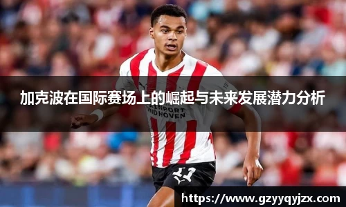z6尊龙凯时官网