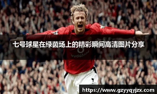 七号球星在绿茵场上的精彩瞬间高清图片分享