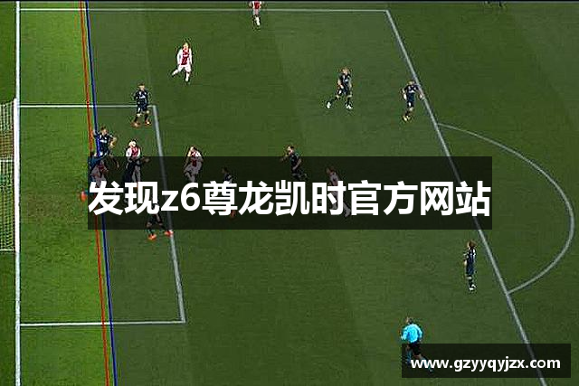 发现z6尊龙凯时官方网站